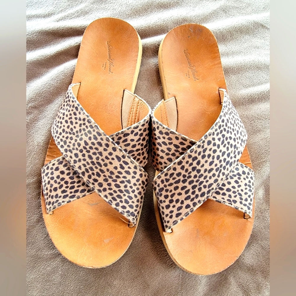 Cheetah Slides